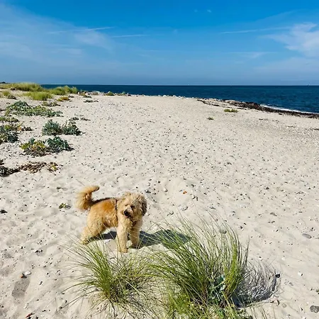 Strandhaus Magellan Teichhof Fehmarn * Wenkendorf