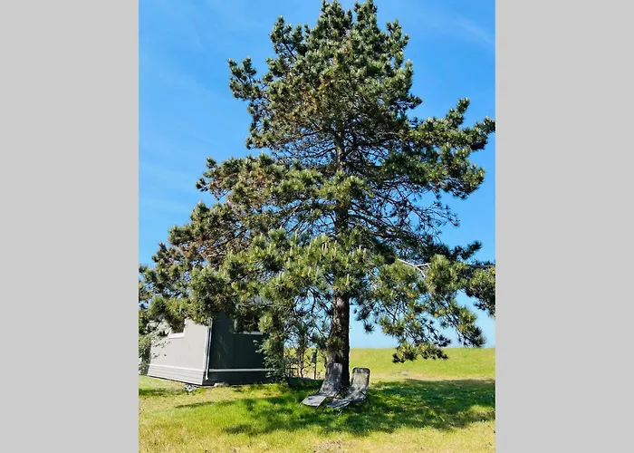 Strandhaus Magellan Teichhof Fehmarn *