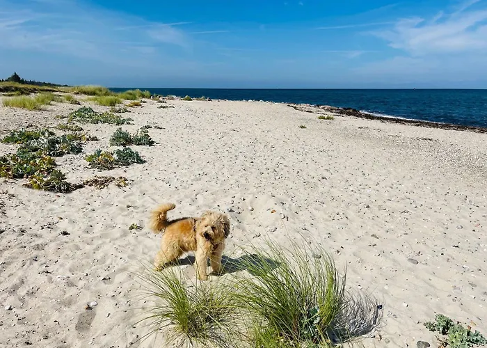 Semesterbostad Strandhaus Magellan Teichhof Fehmarn *