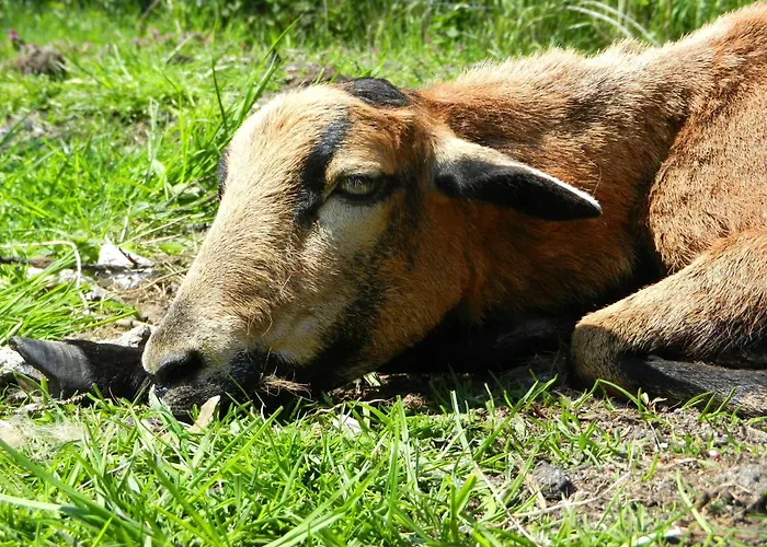 Strandhaus Magellan Teichhof Fehmarn * Wenkendorf