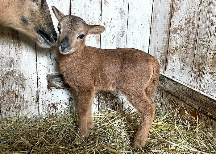 Semesterbostad Strandhaus Magellan Teichhof Fehmarn Wenkendorf